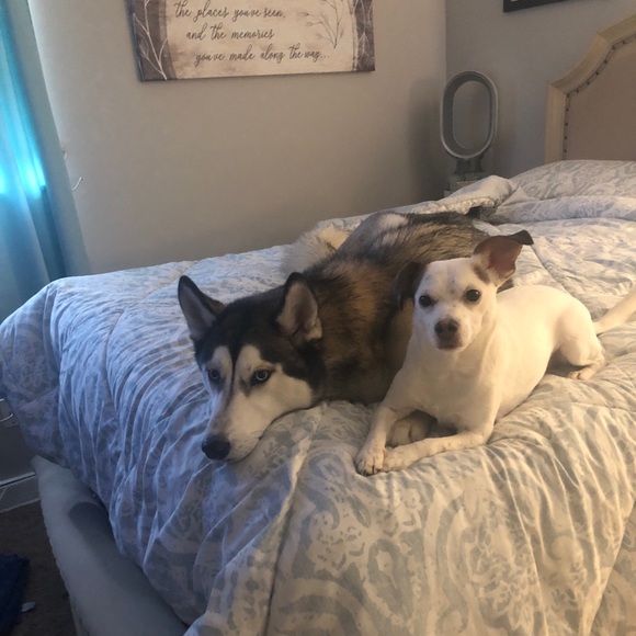 Meet your Posher, Adam r - Picture 1 of 1